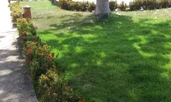 Imagem 4: ALUGO APARTAMENTO NA SERRARIA