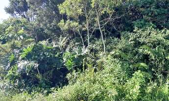 Imagem 3: Terreno jardim Califórnia lado praia!