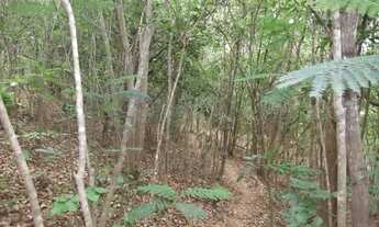 Imagem 4: Terreno 60.000m² as margens do Rio das Velhas, com uma nascente no terreno, Cordisburgo