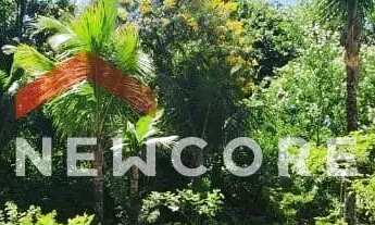 Imagem 3: Casa em Rua Otaviano Gonçalves Ferreira - Lago Igapó - Londrina/PR