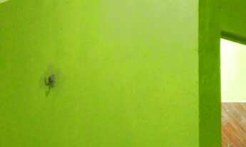 Imagem 4: Kitinetes Casa com 1 dormitório