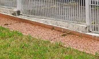 Imagem 2: Casa para venda em Parque São Domingos com 2 quartos , 124m²