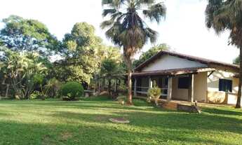 Imagem 3: Fazenda 40km de Brasilia 328 hectares