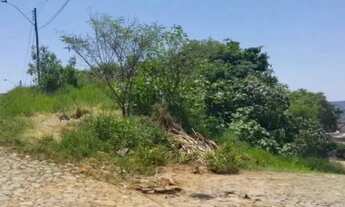 Imagem 3: Terreno 500m² - Aparecida/ Viamão