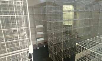 Imagem 6: Loja para alugar, 51 m² por R$ 2.500/mês - Centro - Curitiba/PR