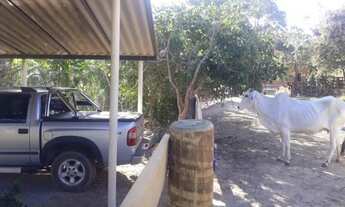 Imagem 6: Sítio Chácara Fazendinha de 3 alqueires montada em Pirenópolis Goiás