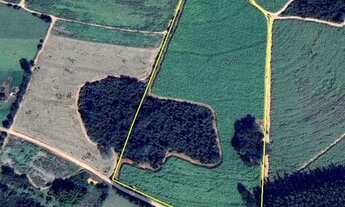 Imagem: SÍTIO À VENDA 5.9 ALQ. - CANA-DE-AÇÚCAR