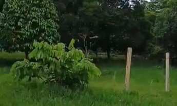 Imagem 3: Terreno 46 hectares próximo de Manaus