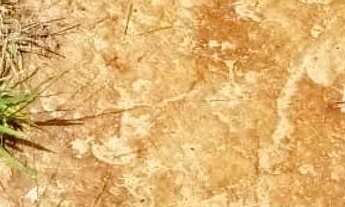 Imagem 4: Fazenda de Oportunidade em Ivolândia - GO