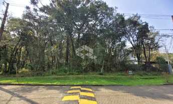 Imagem 5: Pinheiro Grosso Terreno / lote com venda por R$870.000