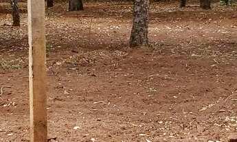 Imagem 4: SÓ ESSA SEMANA NÃO PERCA A OPORTUNIDADE!