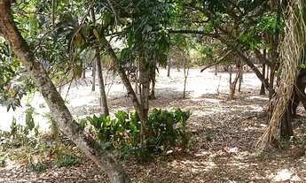 Imagem 4: Chácara condomínio Miraflores em Hidrolândia