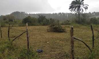 Imagem 3: Terreno 20x30 localizado na Capoeira Alagoinhas