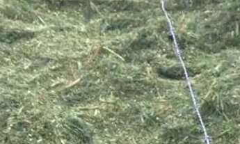 Imagem 6: Venda-se está propriedade de 45 Alqueires no Município de Rio Novo do Sul/