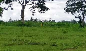 Imagem 5: Sítio com 50 mil M2 em Quissamã próximo ao bloco forte