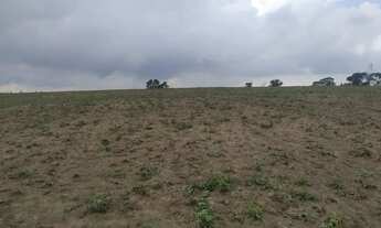 Imagem: FAZENDA EM CASSIA DOS COQUEIROS 53 ALQUEIRES