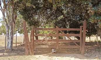 Imagem 5: Imóvel para venda possui 45000 metros quadrados com 3 quartos em Planaltina - Brasília - D