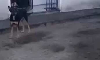 Imagem: Vendo,casa de 2 andares,a de baixo ja construída