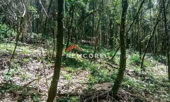 Imagem 6: Lote em Nova Capivari - Nova Capivari - Campos do Jordão/SP