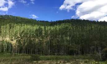 Imagem: Fazenda em Centro