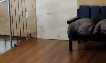 Imagem 2: Casa em rua Otaviano do Amaral Pires - São Luiz - Canela/RS