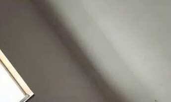 Imagem 2: Aluguel Setor 5 aguas lindas Go