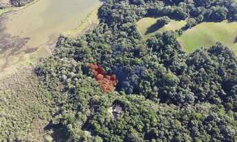 Imagem 6: Chácara em Araucária com nascente, represa e natureza exuberante Aceita imóvel