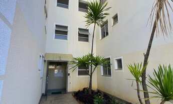 Imagem 7: Alugo Apartamento Térreo Semi Mobiliado - Belvedere