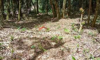 Imagem 4: Lote em Nova Capivari - Nova Capivari - Campos do Jordão/SP