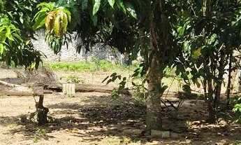 Imagem 3: Terreno no Km29 da Am070/Manoel Urbano, Iranduba, Am