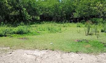 Imagem: Vende-se Terrenos