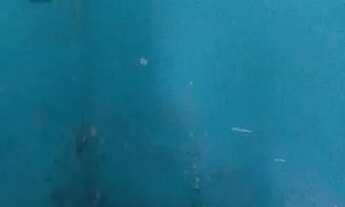 Imagem 6: Casa 600 reais Paulicéia