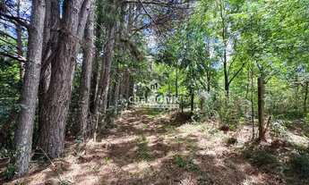 Imagem 2: Chácara com Vista para o Vale (5 hectares