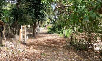 Imagem 4: SB- Vendo Sítio, na Maiobinha