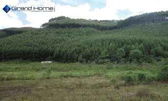 Imagem 2: Fazenda em Centro