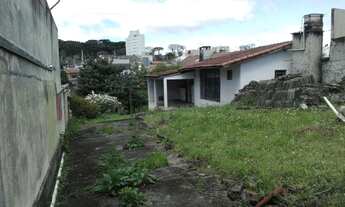 Imagem 2: Terreno 900 m2 Boa Vista excelente localização. Vendo ou alugo para fins comerciais