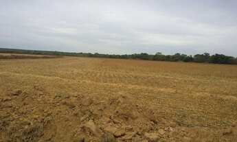 Imagem 4: 360 Alq. Dueré-TO. ( c/ Lavoura Irrigada + Sequeiro