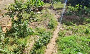 Imagem 2: Vendo lote 900m2 com 16m frente pode dividir condomínio rua 03 Vicente pires próximo via e