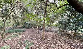 Imagem 2: Terreno em Itaguara - 27.400 M²