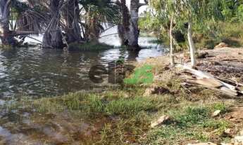 Imagem 7: Fazenda Dupla Aptidão - AGRICULTURA (LAVOURA/GRÃOS/SOJA) com PIVÔ em 230 HA, 415 hectares