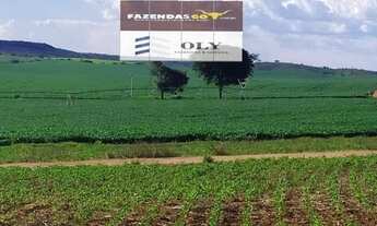 Imagem 7: Área Rural Premium - Em Catalão-GO ! 894 HECTARES