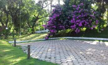 Imagem 5: Chácara para locação