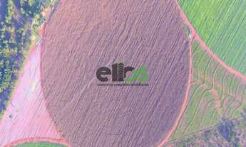 Imagem 5: Fazenda Dupla Aptidão - AGRICULTURA (LAVOURA/GRÃOS/SOJA) com PIVÔ em 230 HA, 415 hectares