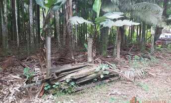 Imagem 3: TERRENO RURAL em JOINVILLE - SC, PIRABEIRABA (PIRABEIRABA