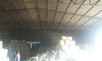 Imagem 7: 360 Alq. Dueré-TO. ( c/ Lavoura Irrigada + Sequeiro