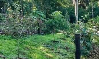 Imagem 3: Chácara à venda em Rolante de 3 hectares !!