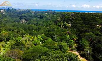 Imagem 2: Oportunidade - Residencial/Comercial