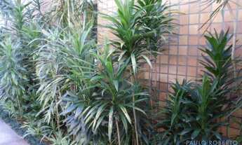 Imagem 3: APARTAMENTO - PENHA - SP