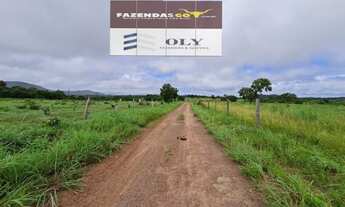Imagem 3: Área Rural Premium - Em Catalão-GO ! 894 HECTARES