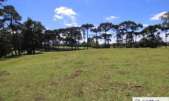 Imagem 7: Chácara / Haras para venda - R$ 2.850.000,00 - Piraquara/PR